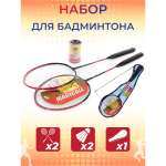 Бадминтон Veld Co 2 ракетки + 2 воланчика в сумке