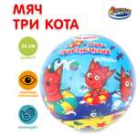 Детский мяч Играем вместе Три кота