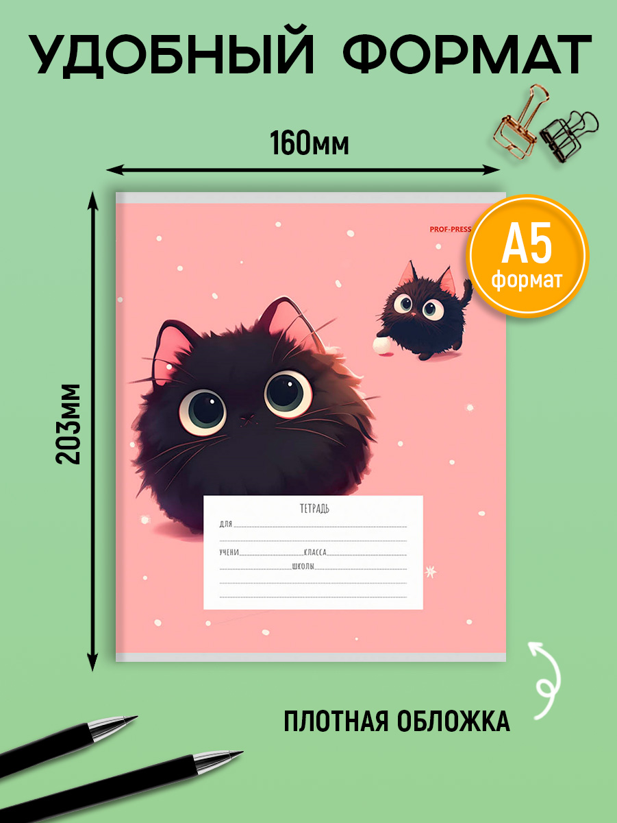 Тетрадь Prof-Press клетка 12 лист. 20 шт. - фото 3