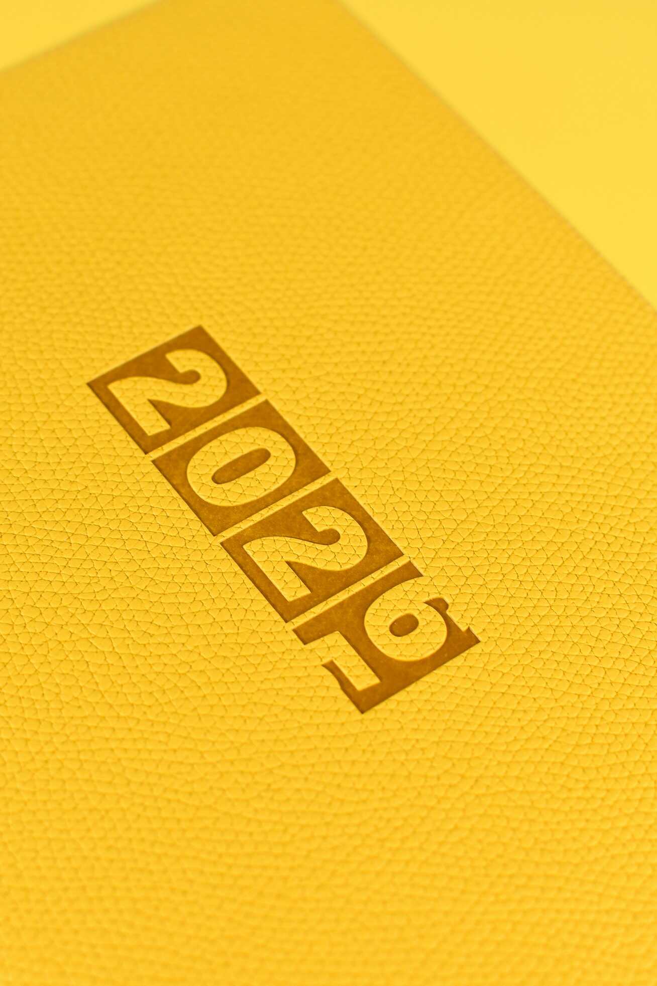 Ежедневник Феникс + ESCALADA 64 лист. - фото 7