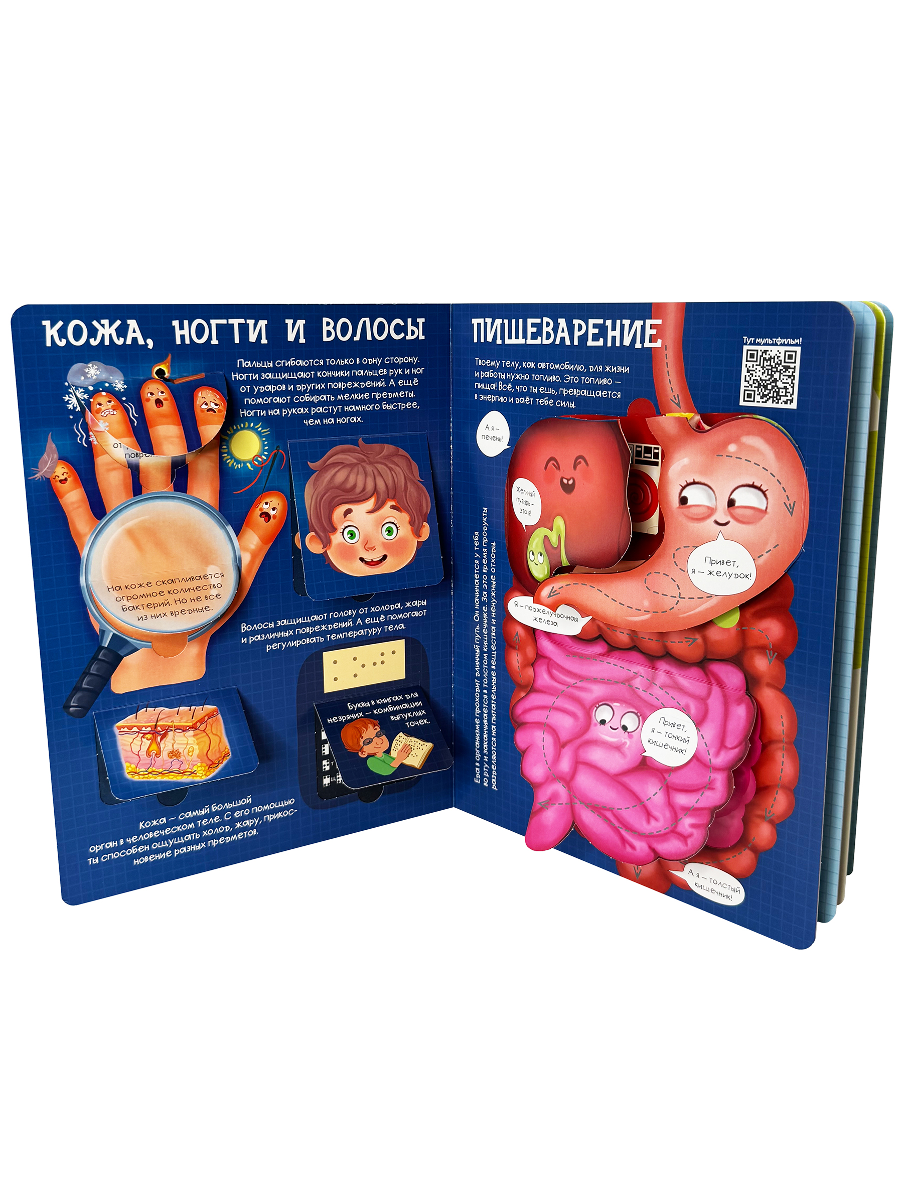 Энциклопедия с окошками БимБиМон книга детская - фото 9