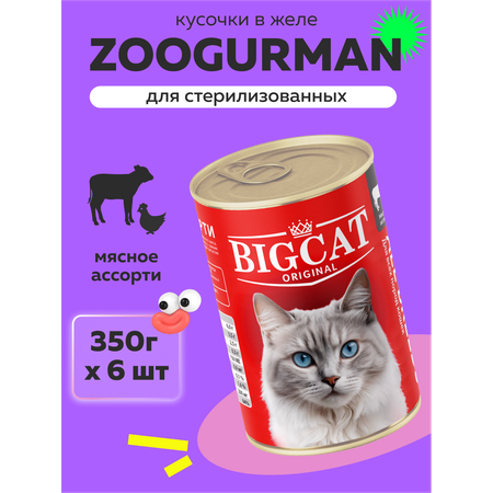 Корм влажный Зоогурман Big Cat Мясное ассорти 350 гр х 6 шт