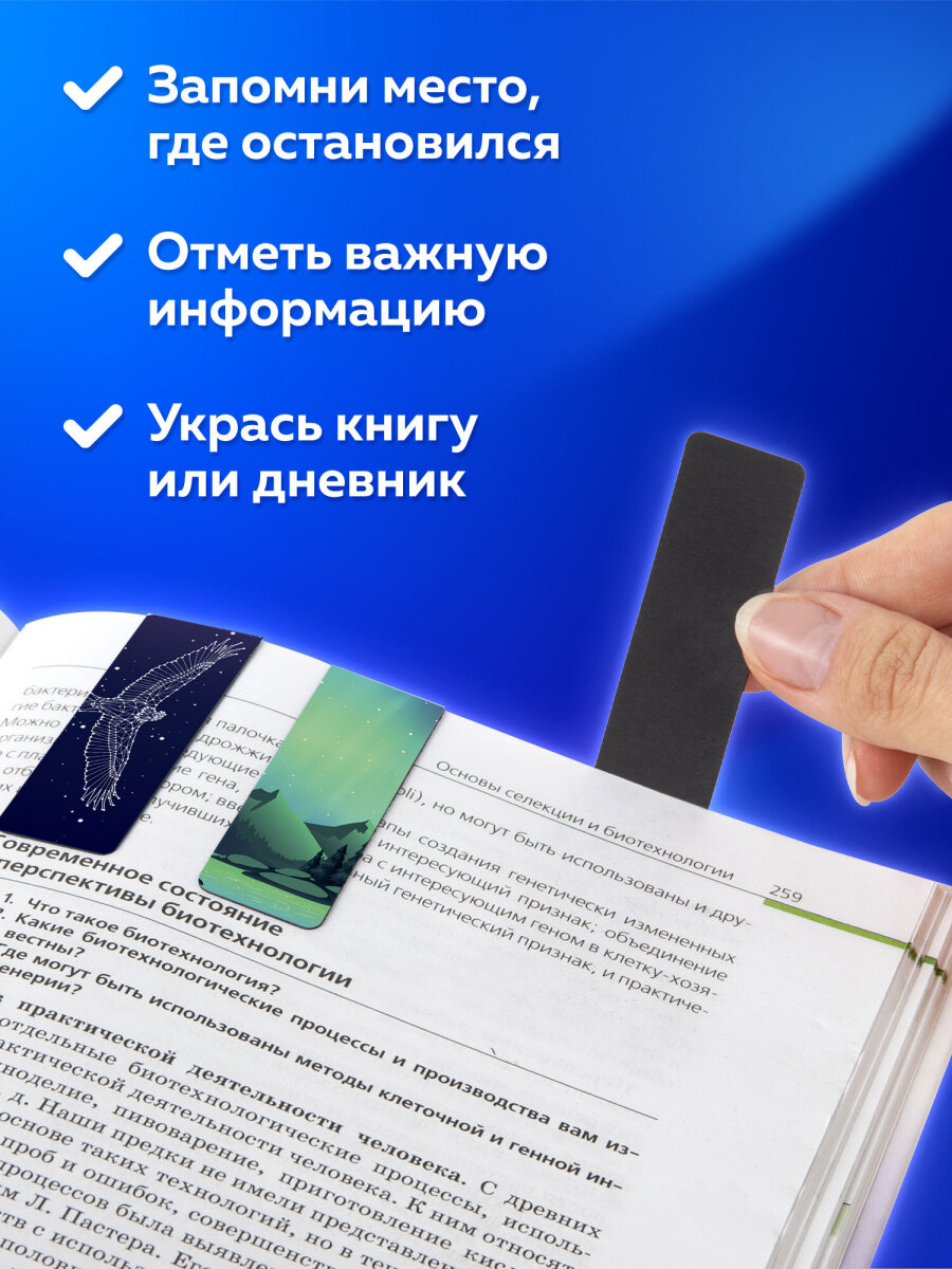 Магнитная закладка Brauberg 12 шт. - фото 4