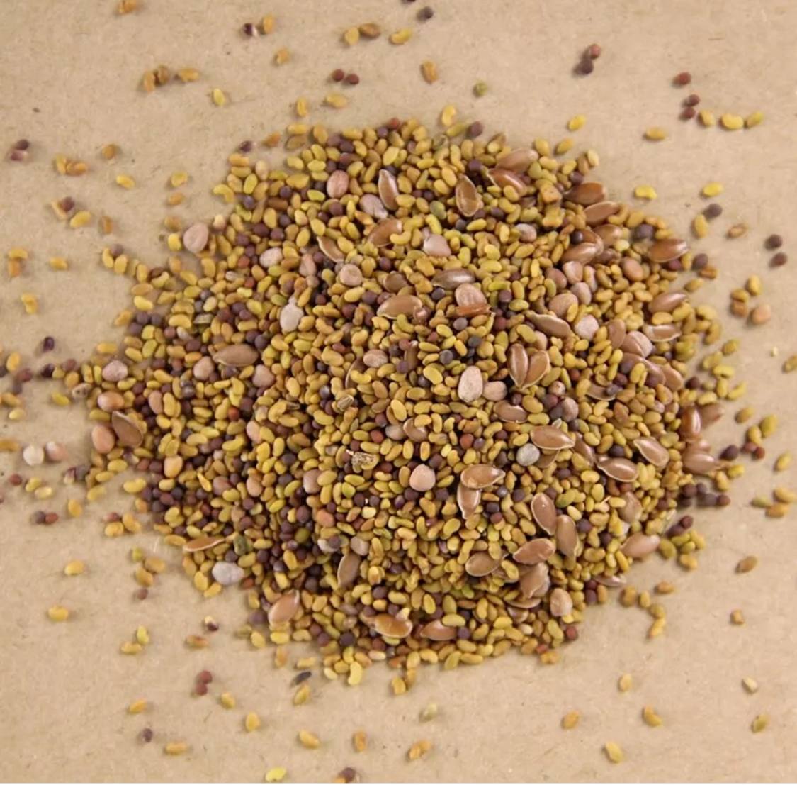 Семена для микрозелени Никольские ПроРостки люцерна, клевер, лен, редис, брокколи - фото 3