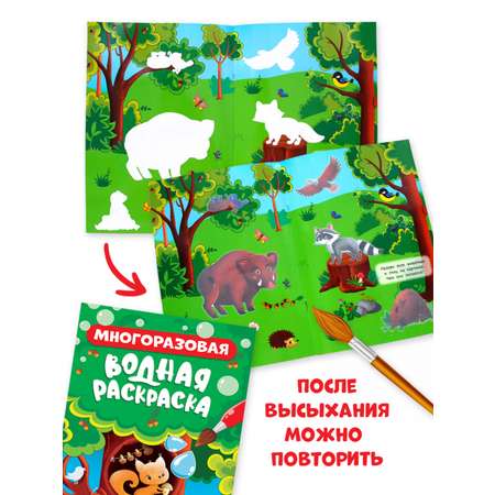 Водная раскраска Проф-Пресс многоразовая А5. Набор из 2 шт. В лесу+домашние животные