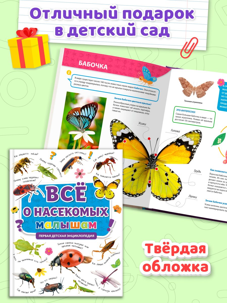 Книга Проф-Пресс Первая детская энциклопедия Всё о насекомых малышам - фото 4