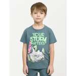 Футболка Pelican