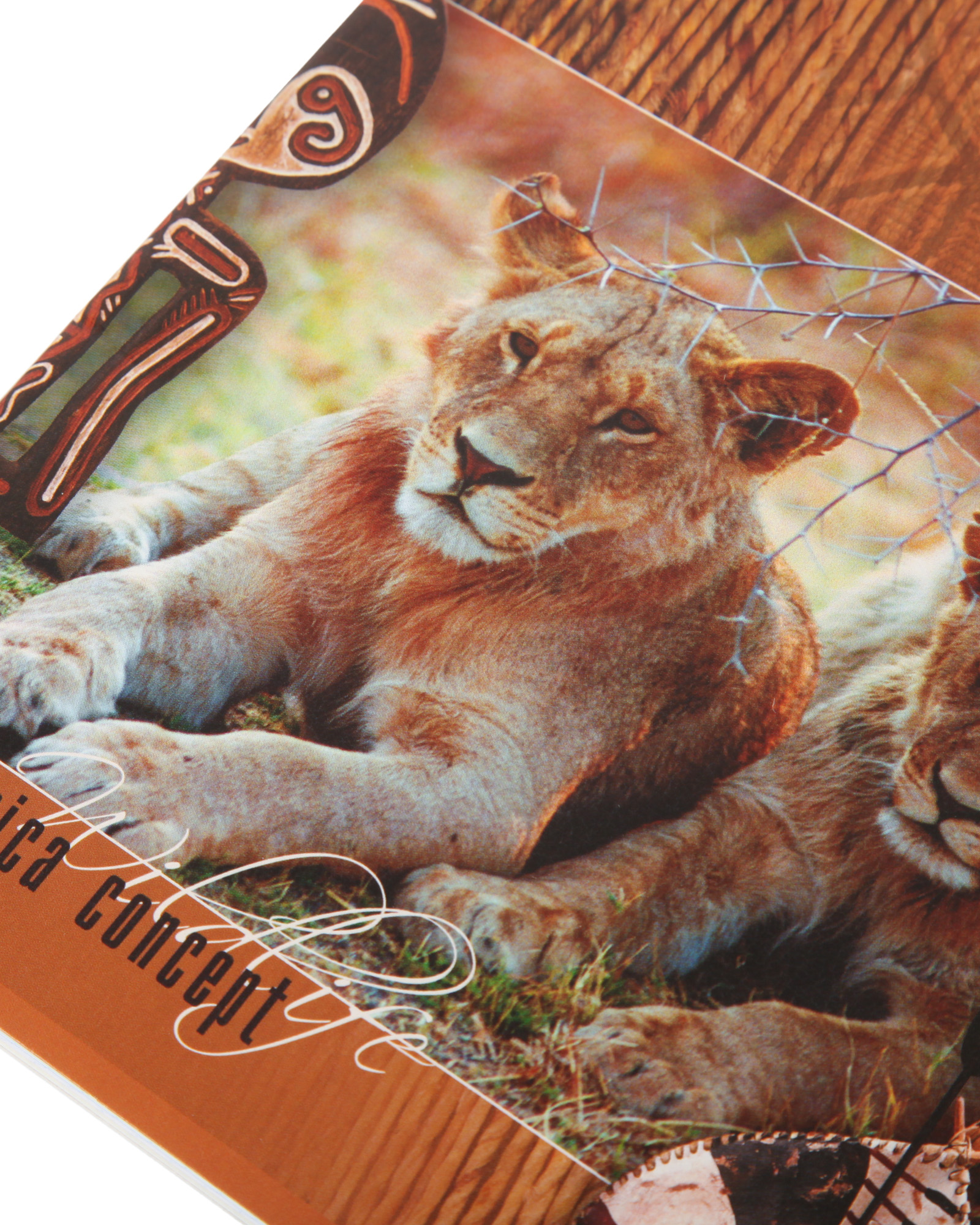 Тетрадь общая Мировые тетради 60л ТО60K9279 - фото 4