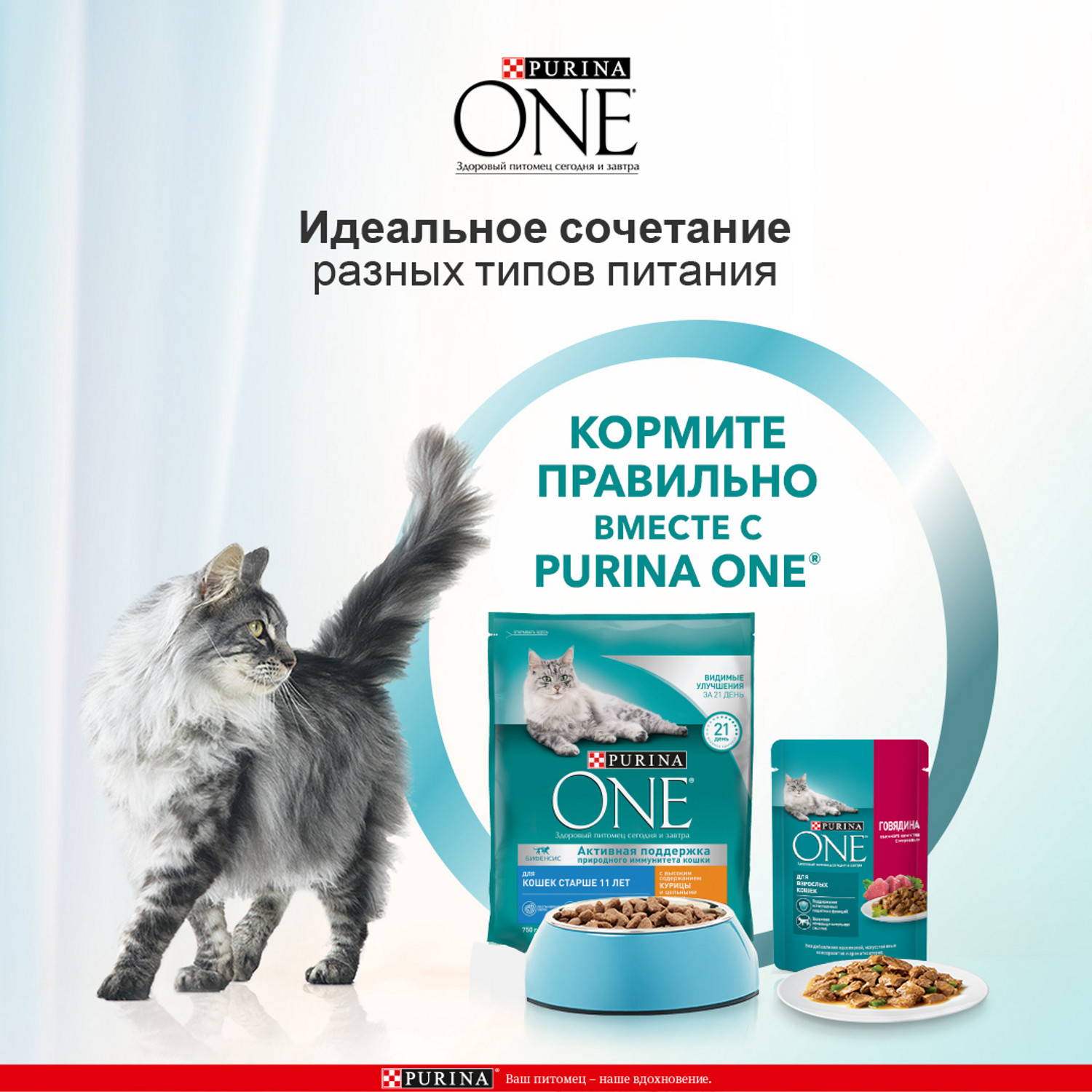 Корм для кошек Purina One пожилых с курицей и цельными злаками 750г - фото 6