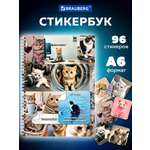 Наклейки Brauberg с котиками и мемами 96 шт.