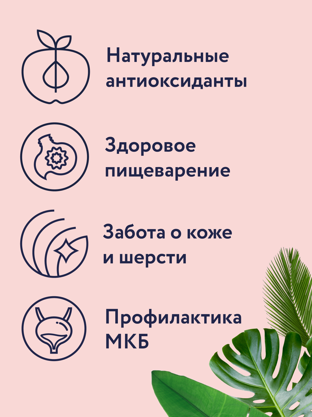 Корм для кошек Florida для стерилизованных сухой индейка клюква 4кг - фото 2