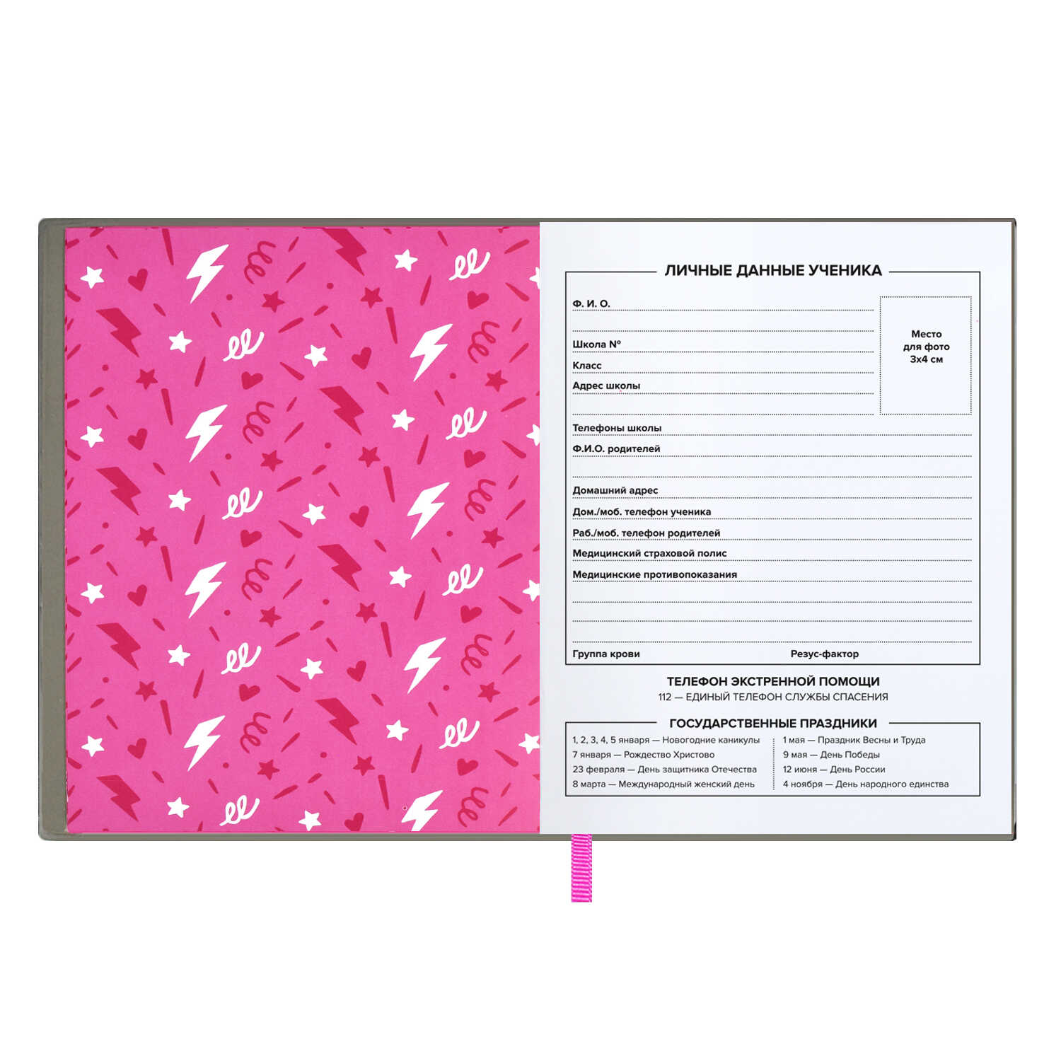 Дневник школьный ФЕНИКС+ класс А5+ 48 листов мягкий переплёт ПВХ ляссе карман на лицевой части обложки - фото 6