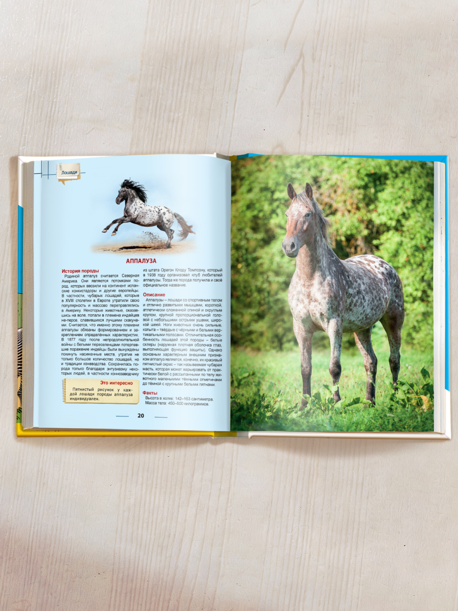 Книга Проф-Пресс Энциклопедия для детей. Лошади - фото 6