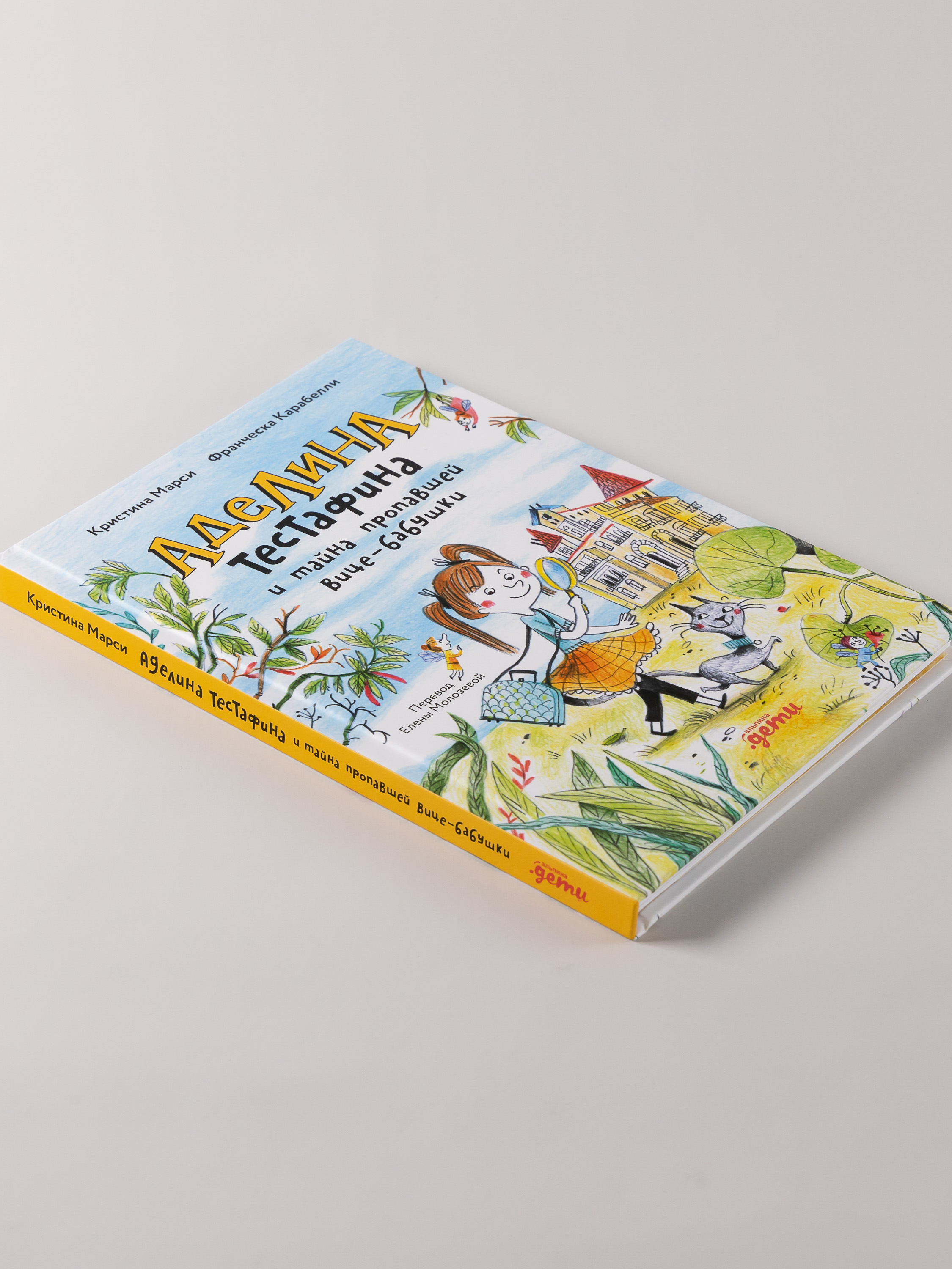 Книга Альпина. Дети Аделина Тестафина и тайна пропавшей вице-бабушки - фото 6