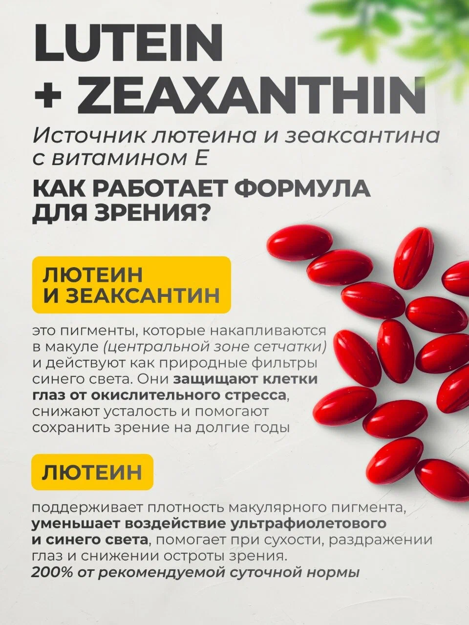 Биологически активная добавка VitaMeal Лютеин 10 мг + Зеаксантин 2 мг витамины для глаз и зрения 60 капсул - фото 2