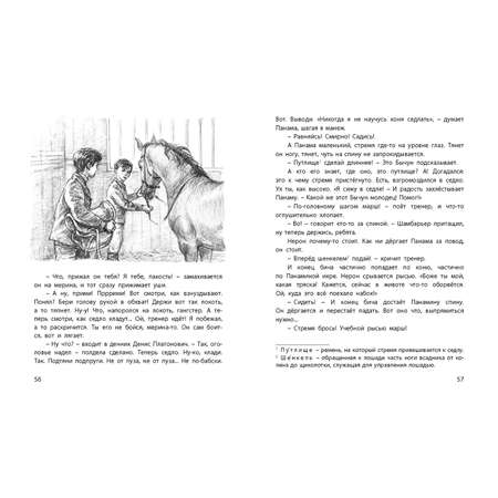 Книга ЭНАС-книга Самый красивый конь