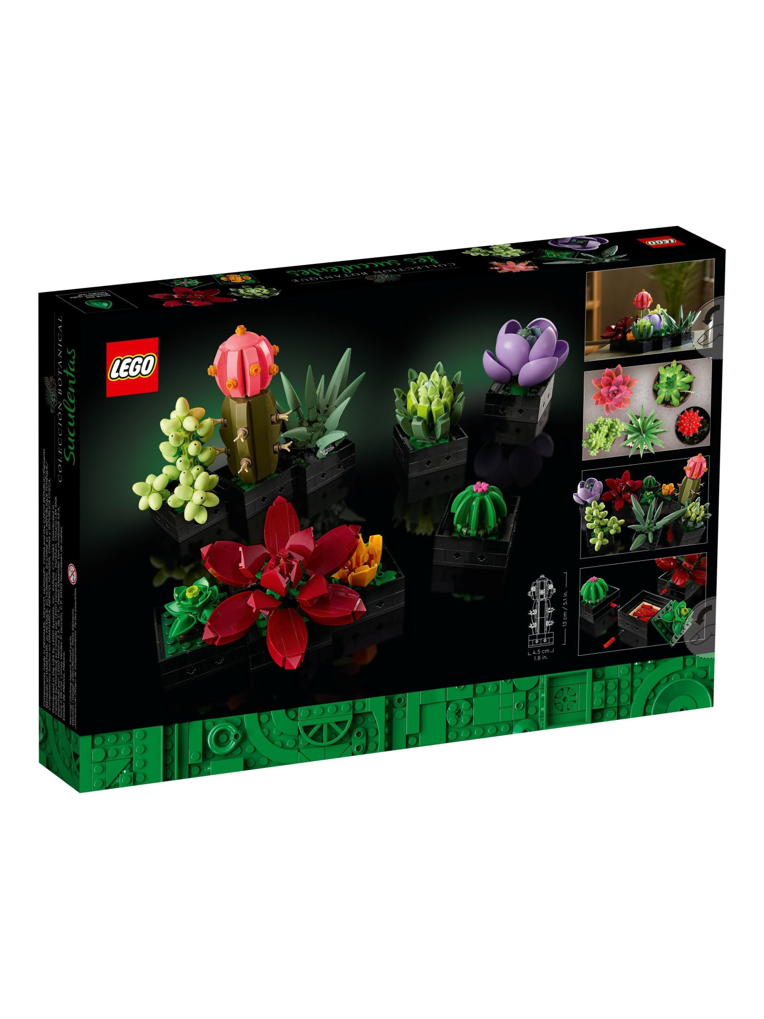 Конструктор LEGO Icons Суккуленты 771 дет. - фото 2