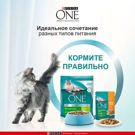 Корм для кошек Purina One домашних с индейкой 750г