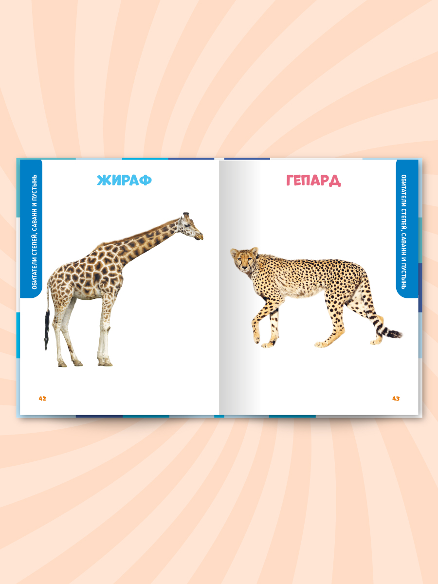 Книга Проф-Пресс Главная книга малыша. Животные нашей планеты - фото 7