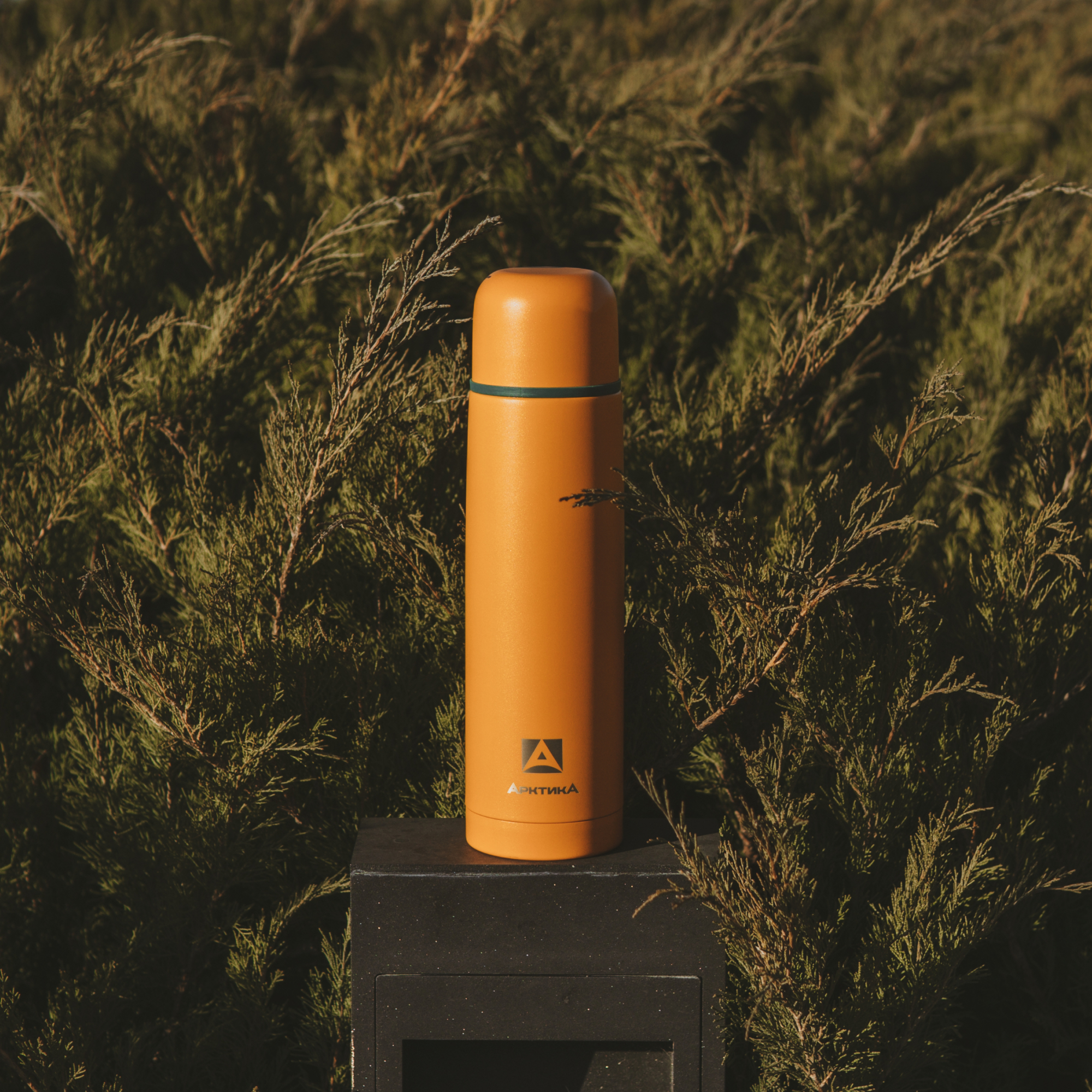 Термос Арктика 101-1000 морошка - фото 6