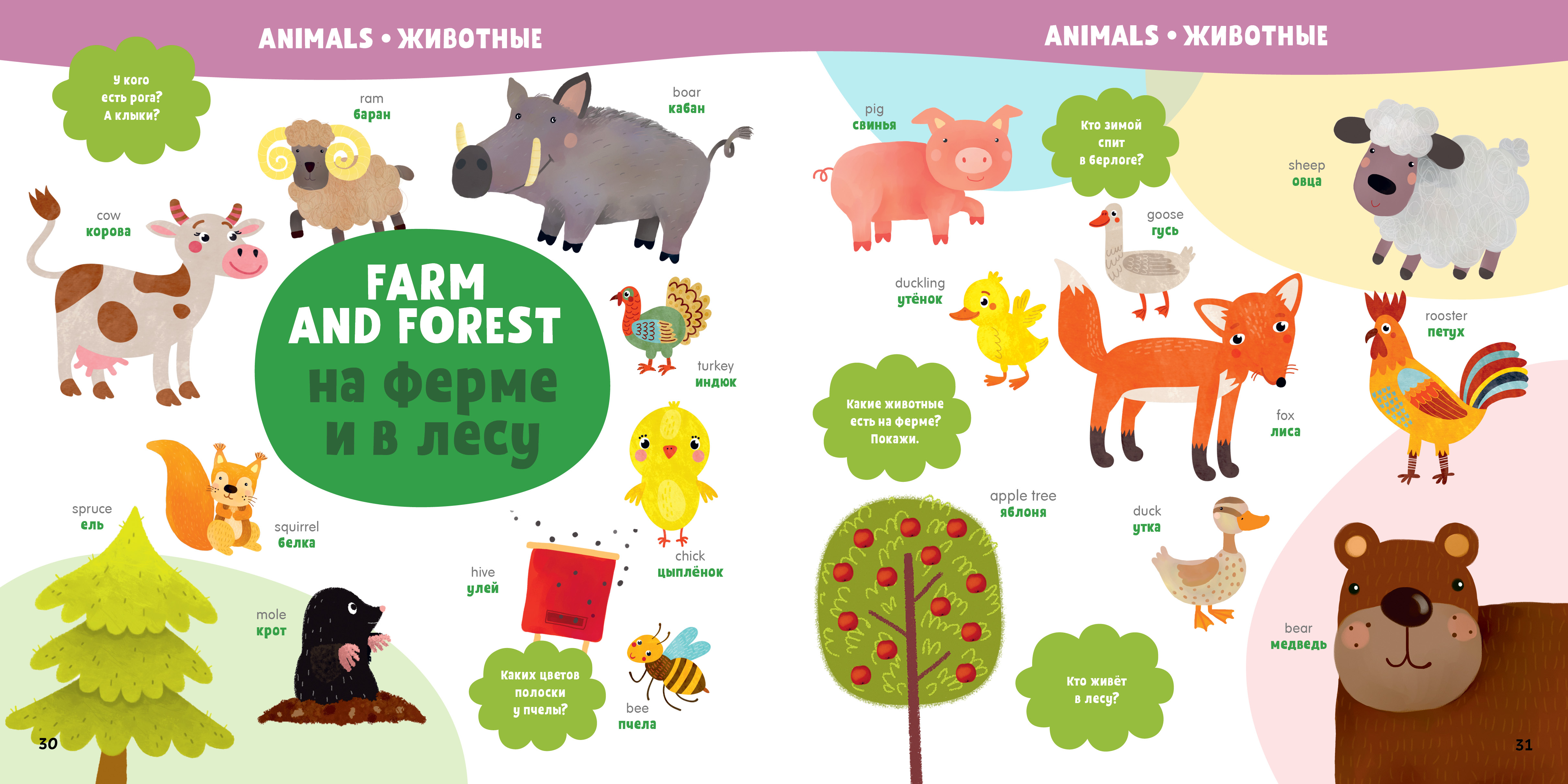 Мой первый Clever англо-русский словарик - фото 2