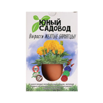 ВИСМА