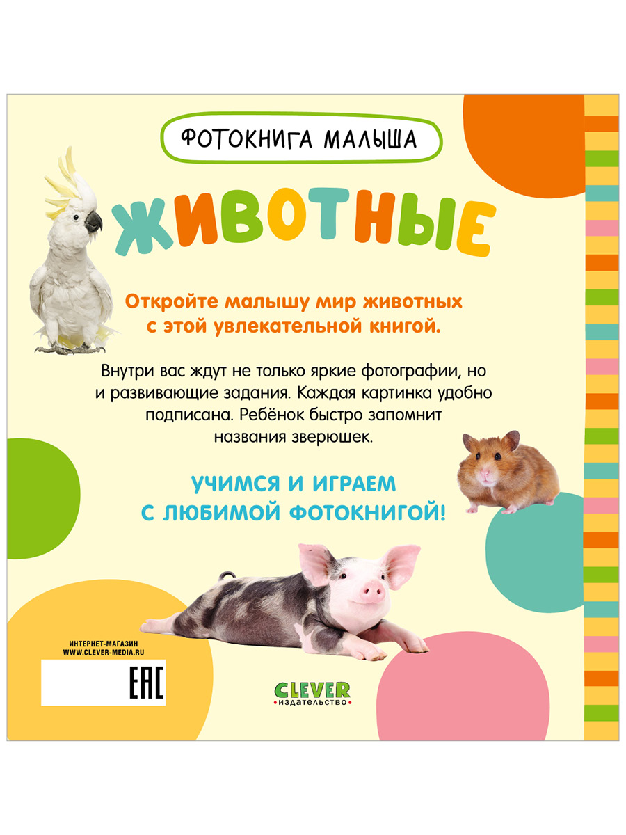 Книга Clever Фотокнига малыша - фото 3