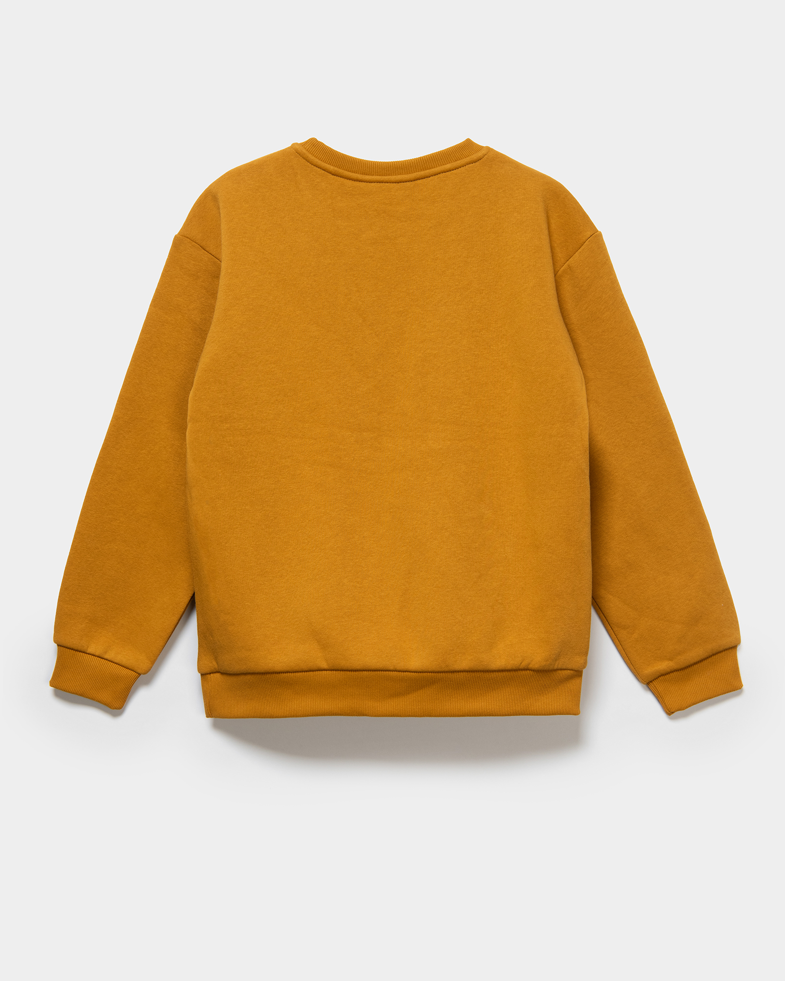 Свитшот Futurino W24FU1-B41Ttb-D3 - фото 3