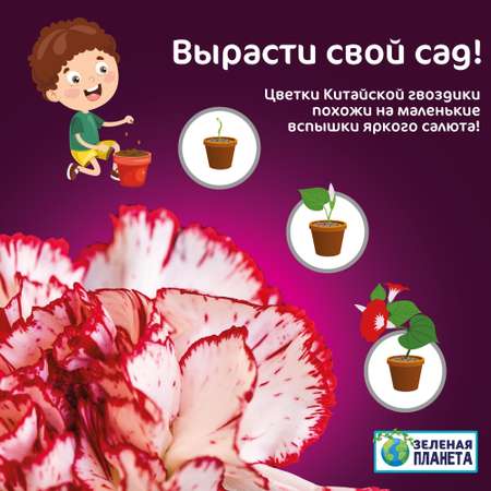 Набор для выращивания ЗЕЛЕНАЯ ПЛАНЕТА
