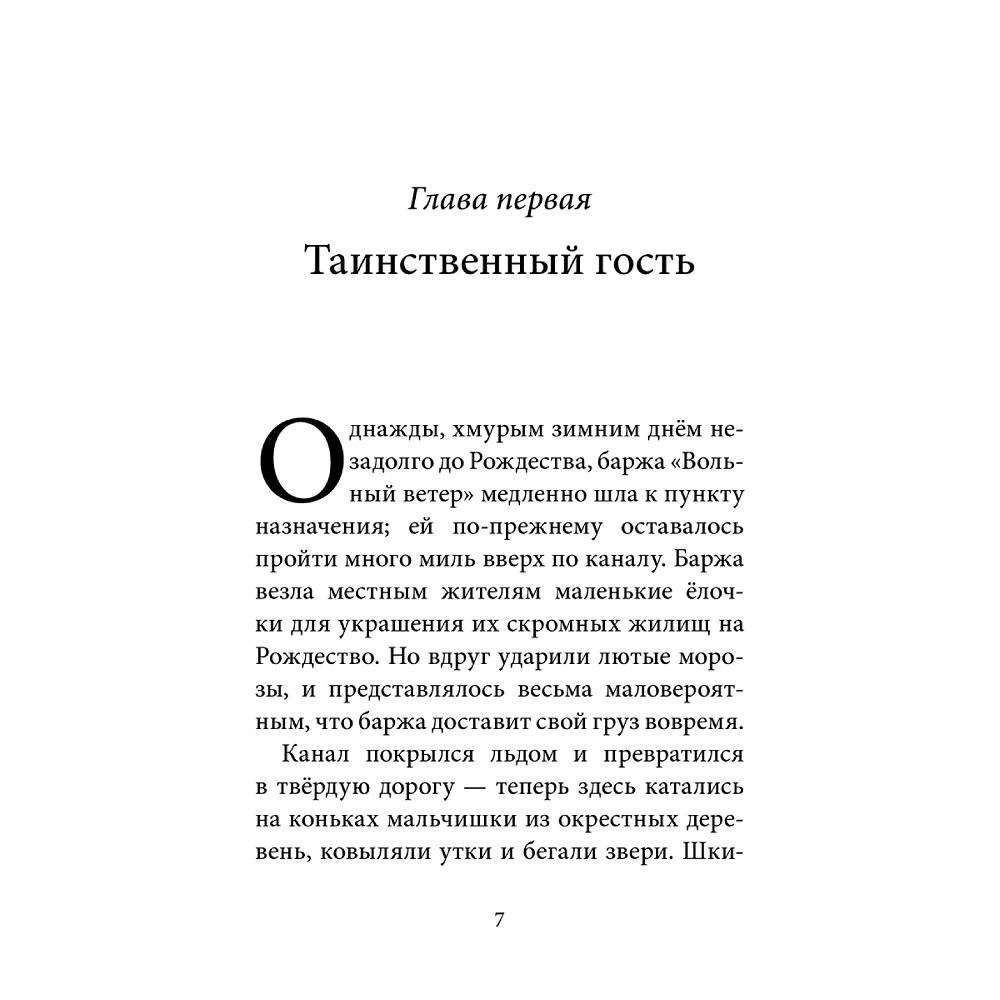 Дeнис Уоткинс-Питчфорд / Добрая книга / Билл Барсук. Зимнее путешествие/ 2-я книга / от автора Вверх по Причуди - фото 4