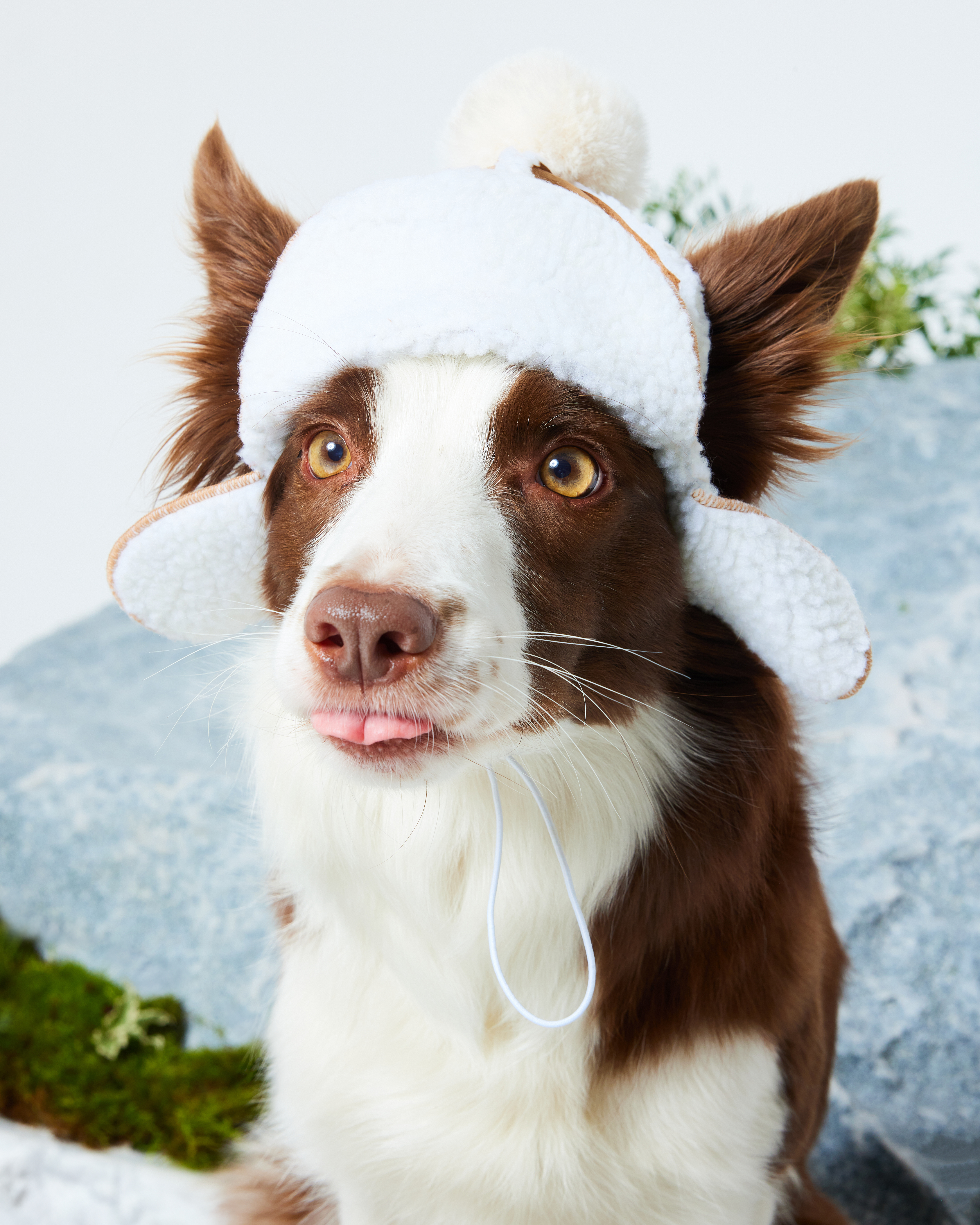 Шапка-ушанка для собак и кошек Зоозавр - фото 10