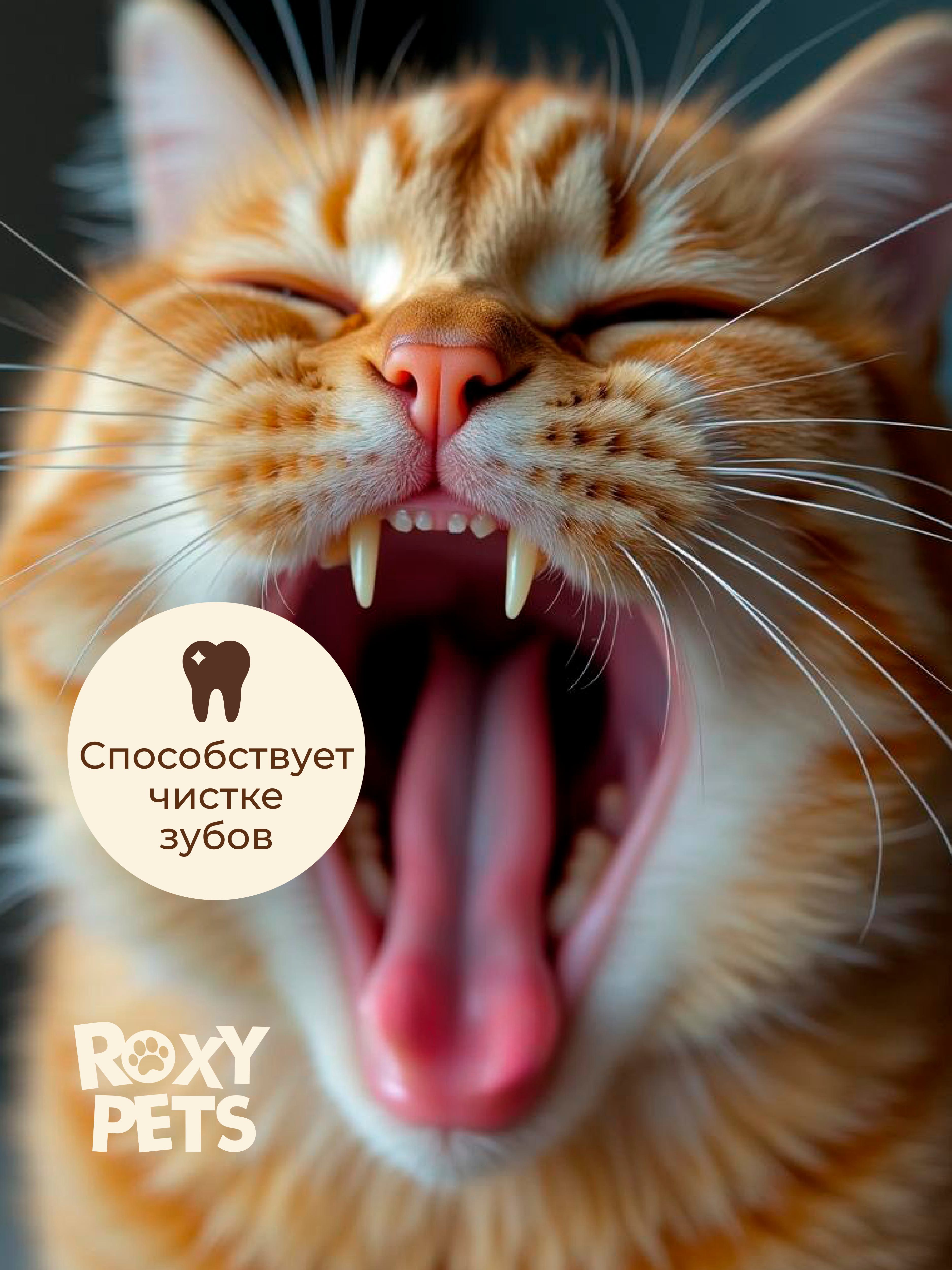 Лакомства для кошек и котят всех пород ROXY PETS из вяленого говяжьего вымени - фото 10