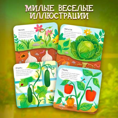 Книжка-раскладушка Огород
