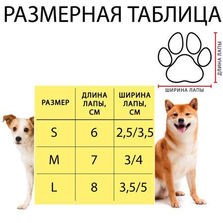 Носки Пижон нескользящие Звезда L 4 шт