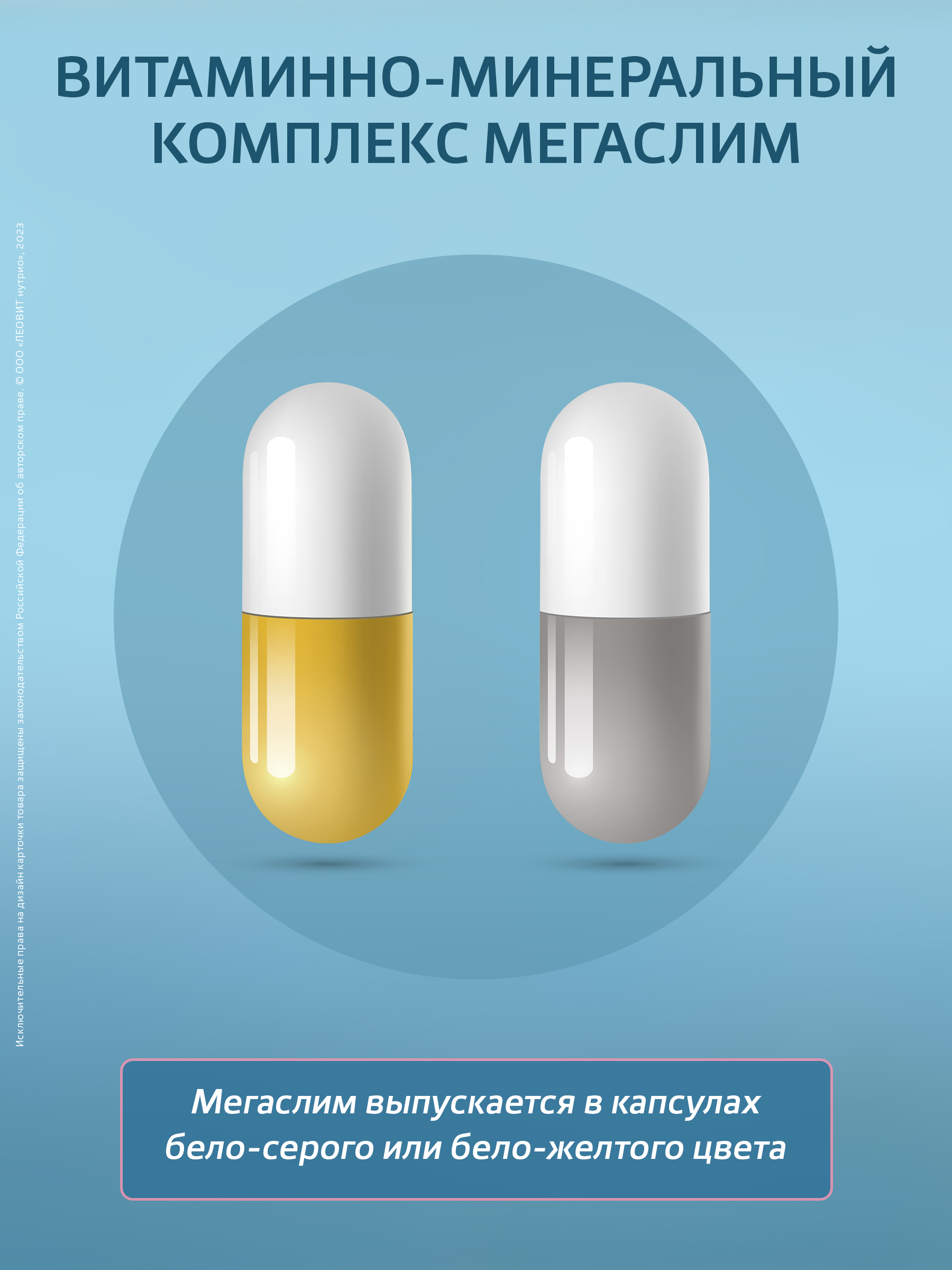 Витаминно-минеральный комплекс МегаСлим Леовит БАД для снижения веса - фото 5