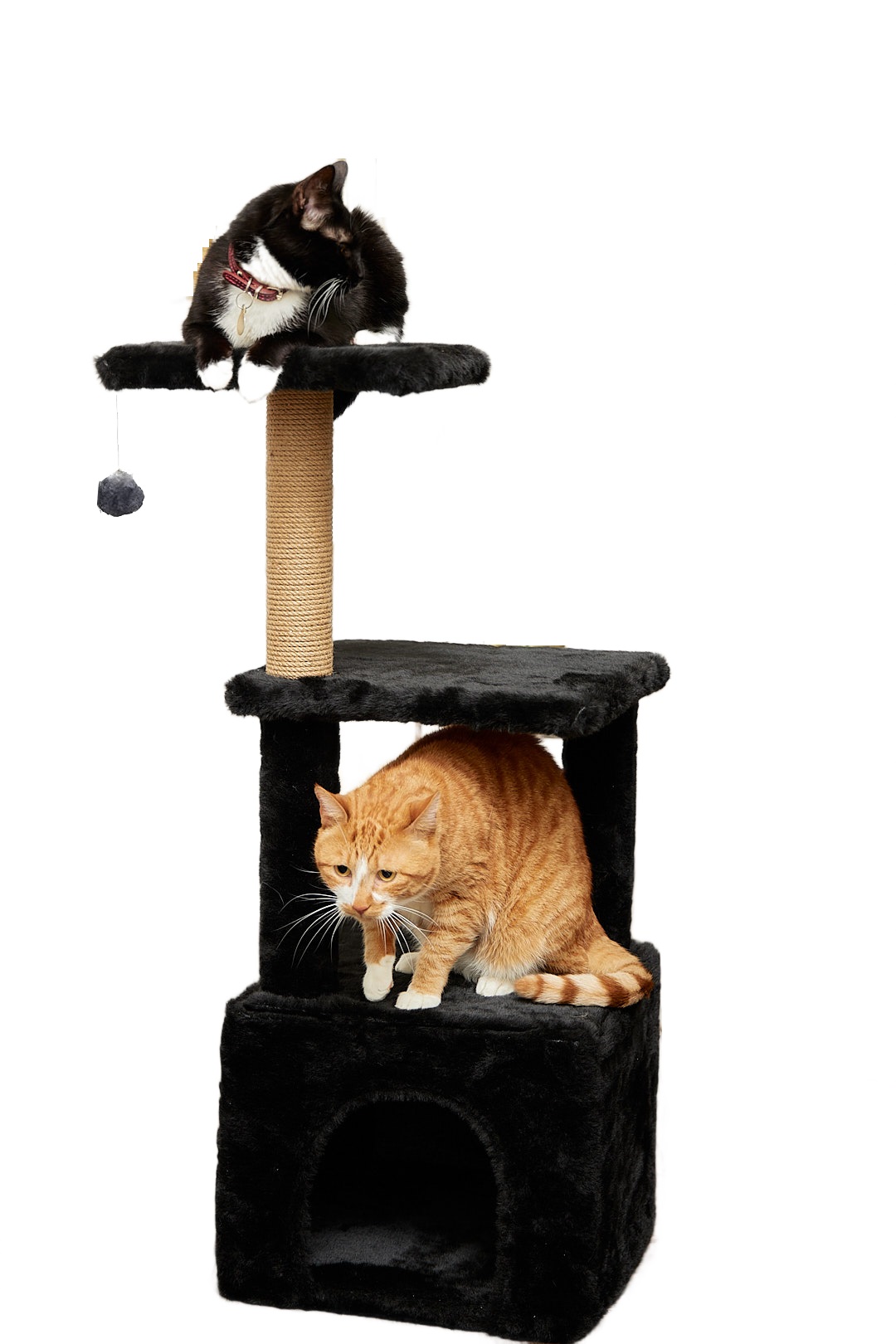 Домик для кошки с когтеточкой Pet БМФ Черный - фото 1