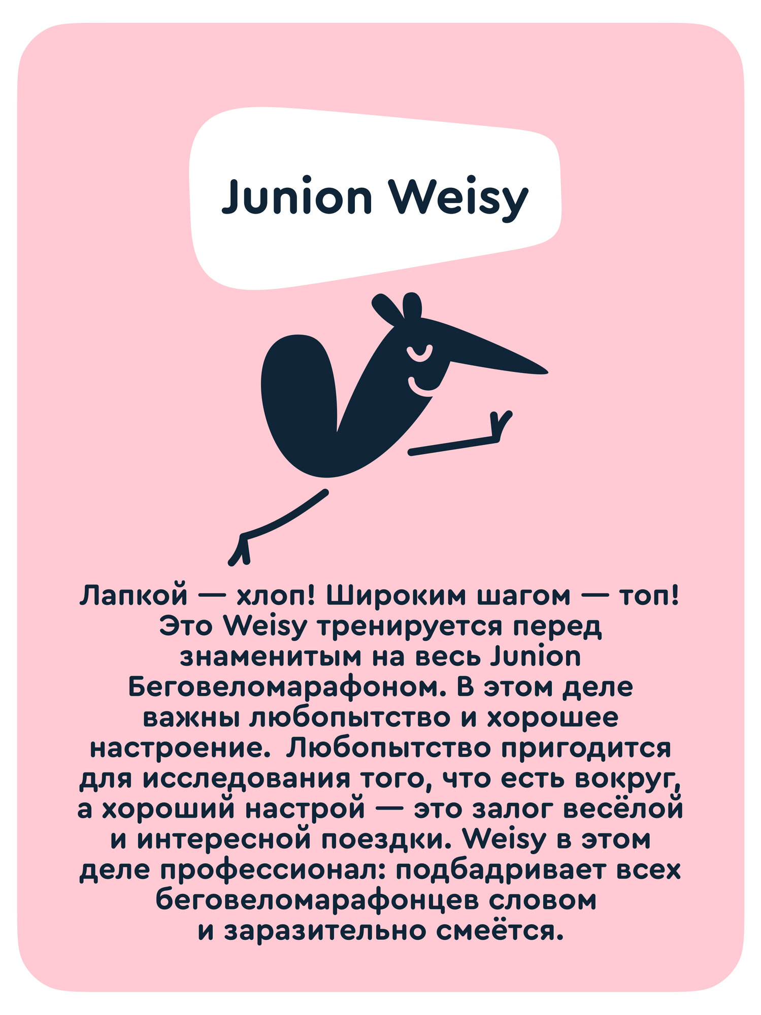 Двухколесный беговел Junion 14 дюймов - фото 14