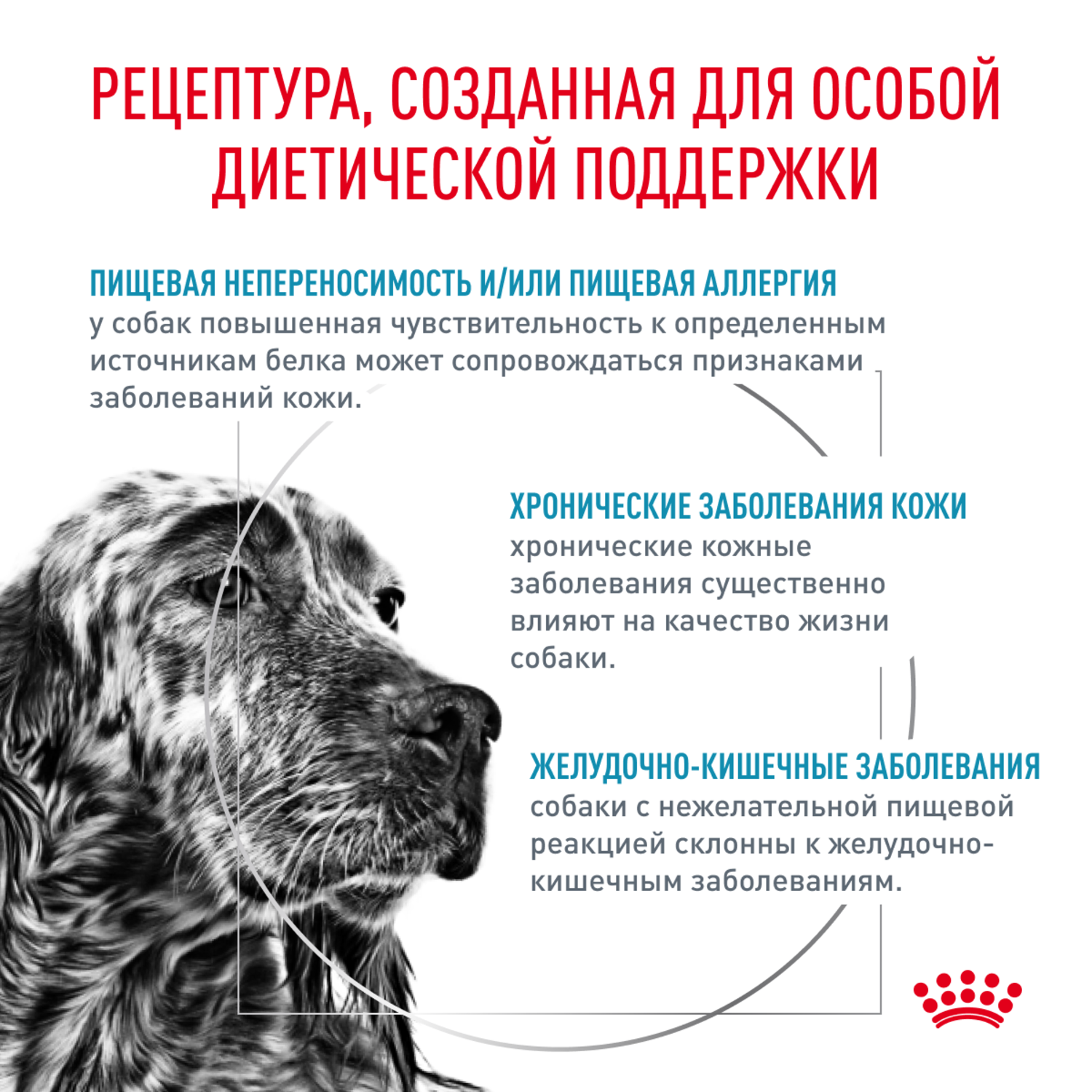 Корм для собак ROYAL CANIN Sensitivity Control SC21 с пищевой непереносимостью утка 1.5кг - фото 2