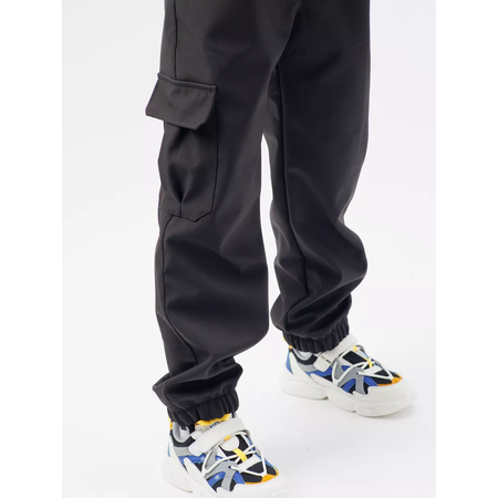 Брюки Lemonwear