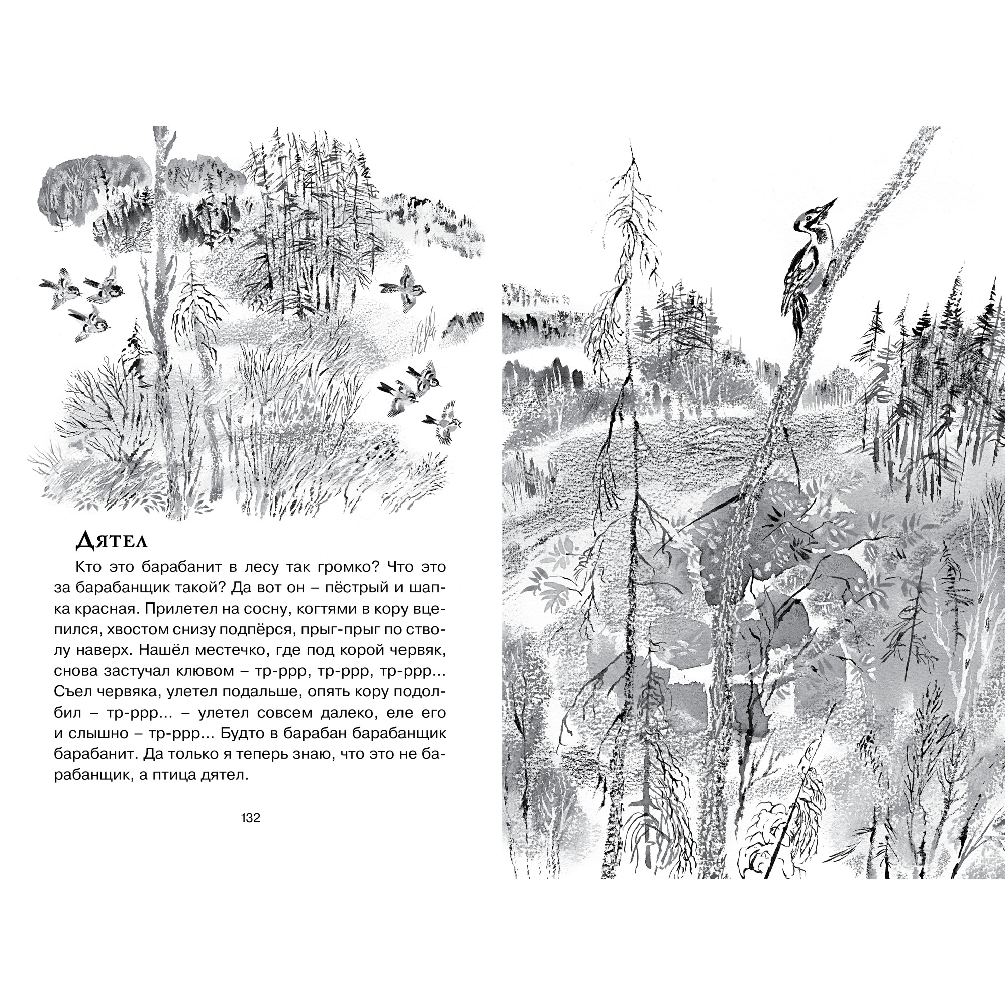 Книга МАХАОН Друзья Чарушин Е. - фото 5