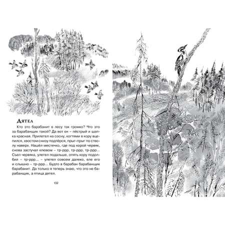 Книга МАХАОН Друзья Чарушин Е.