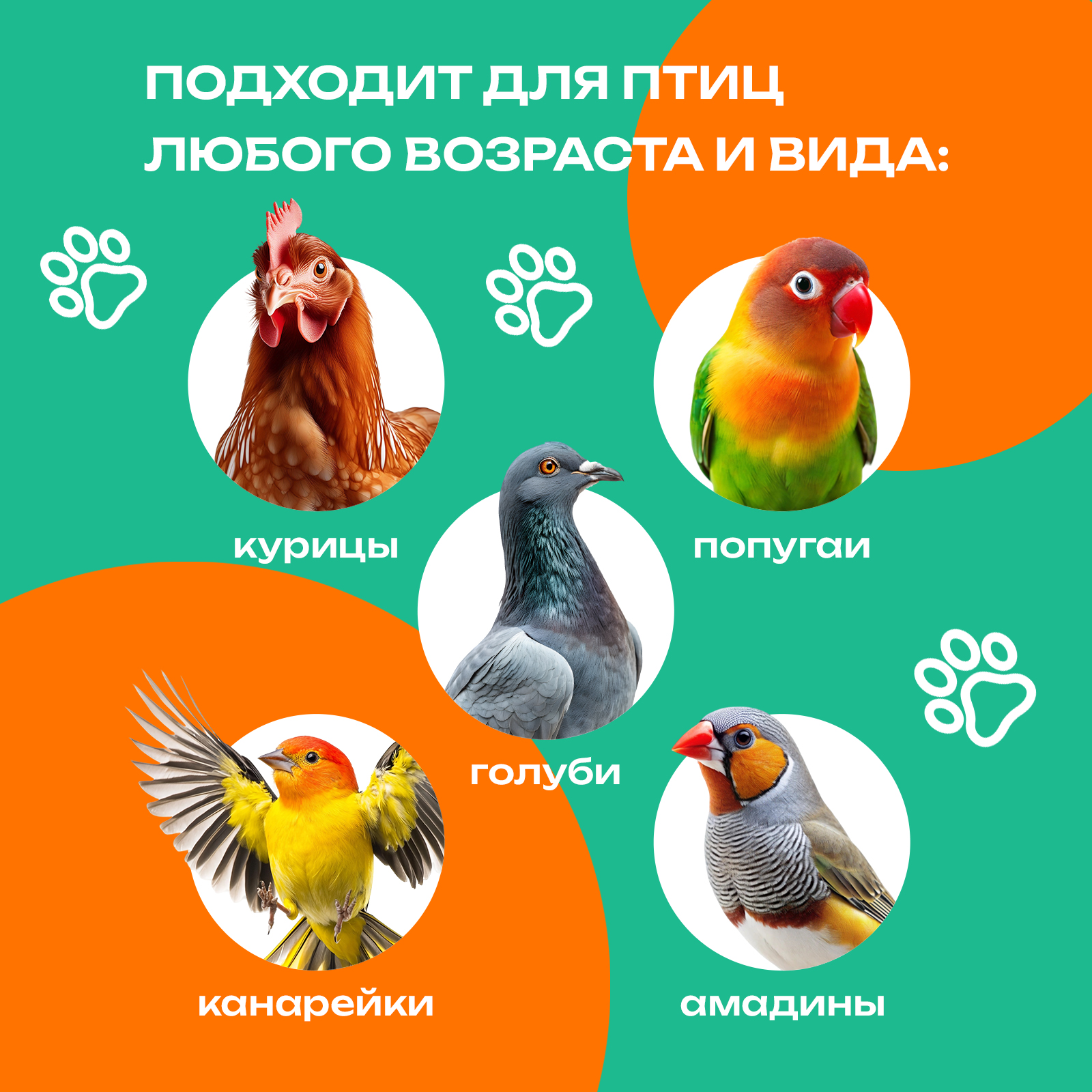 Средство для кур от паразитов PETPOWER от пероедов блох и клещей 500 мл - фото 4