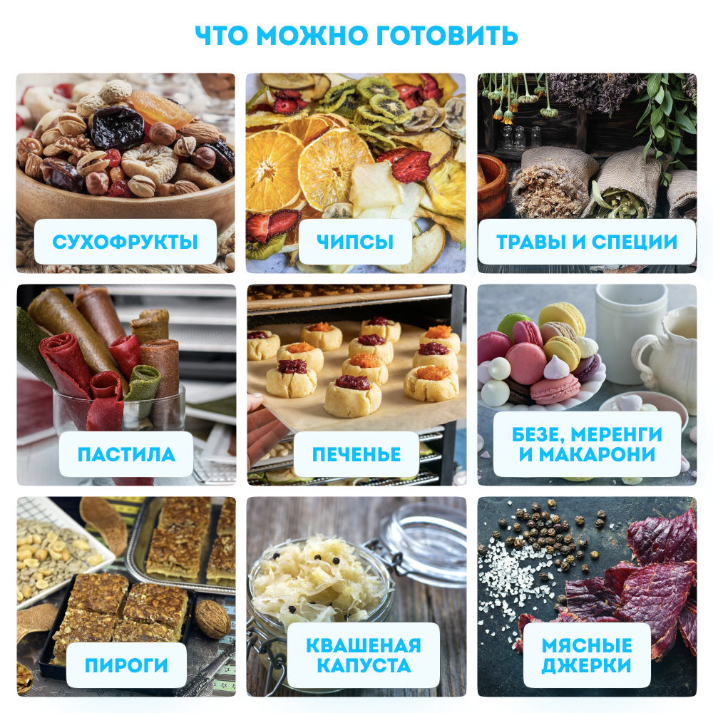 Сушилка для овощей и фруктов RAWMID PRO 2 DDP 10 дегидратор электрический - фото 2