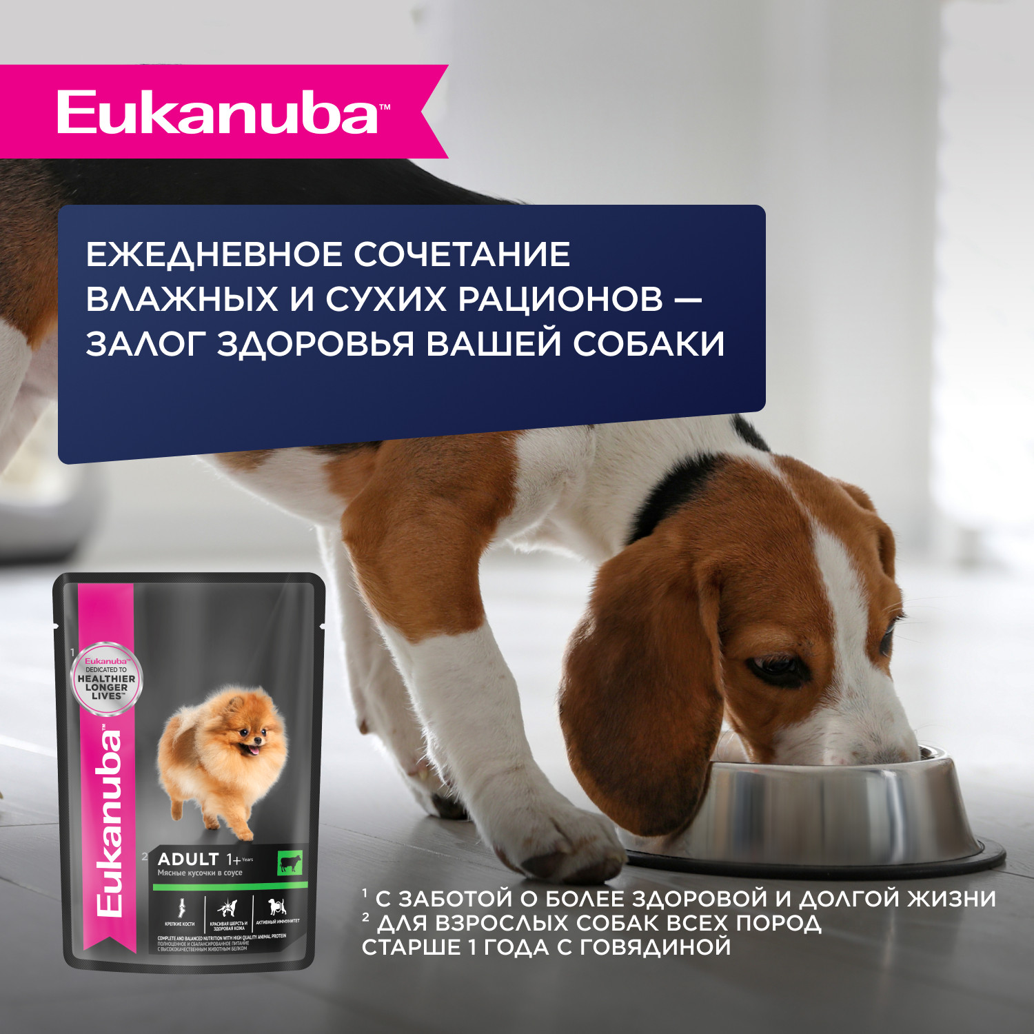 Корм Eukanuba Dog 500г для взрослых собак миниатюрных пород сухой - фото 6