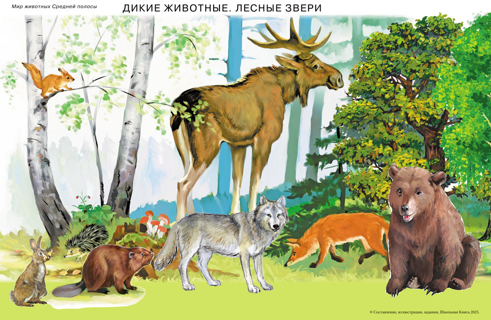 Книга Школьная Книга Сюжетные и предметные картинки МИР ЖИВОТНЫХ - фото 2