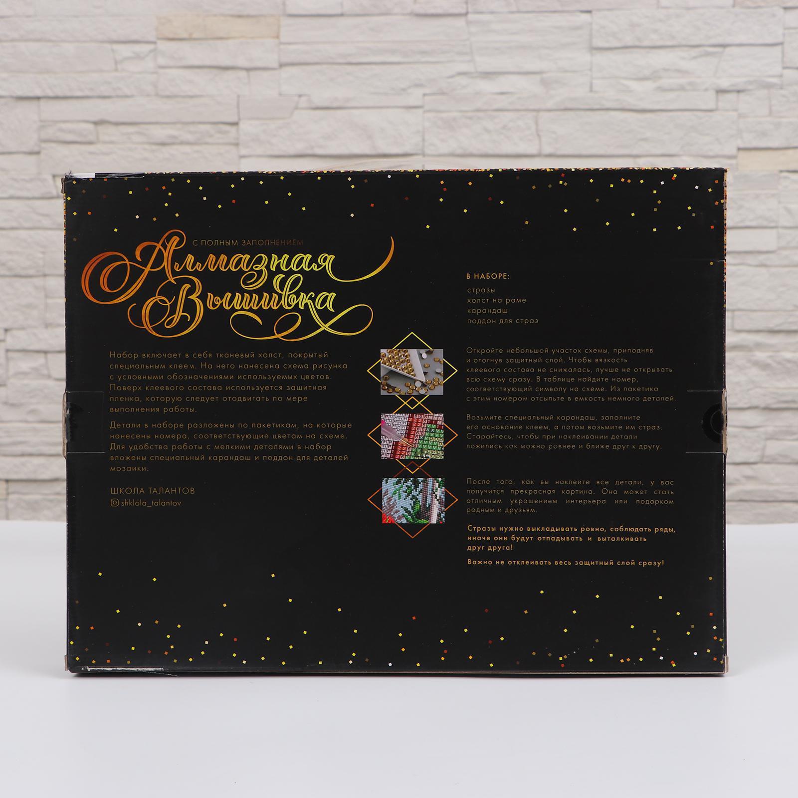 Алмазная мозаика Школа Талантов Кар - фото 4