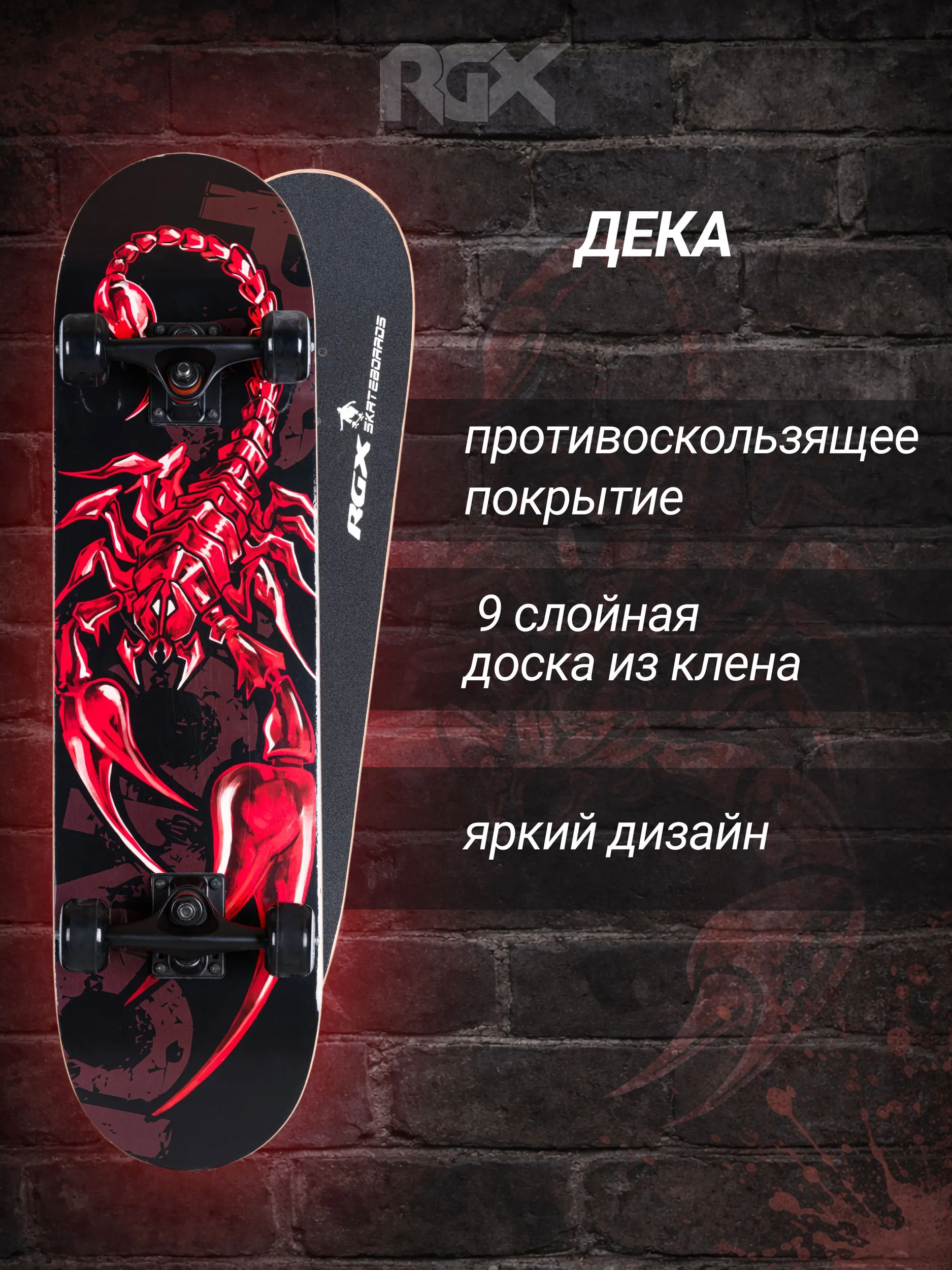 Скейтборд RGX - фото 2