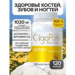 Цыгапан Остео CigaPan Цыгапан кальций д 3 коллаген для костей и суставов