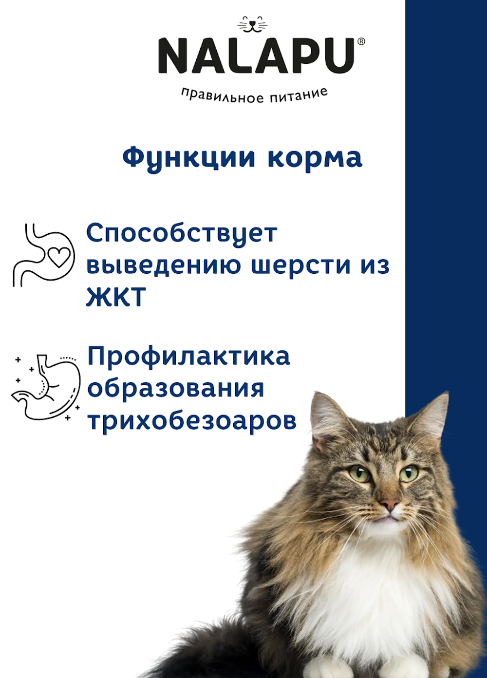 Корм для кошек NALAPU Indoor and Hairball с курицей в желе 77г - фото 4