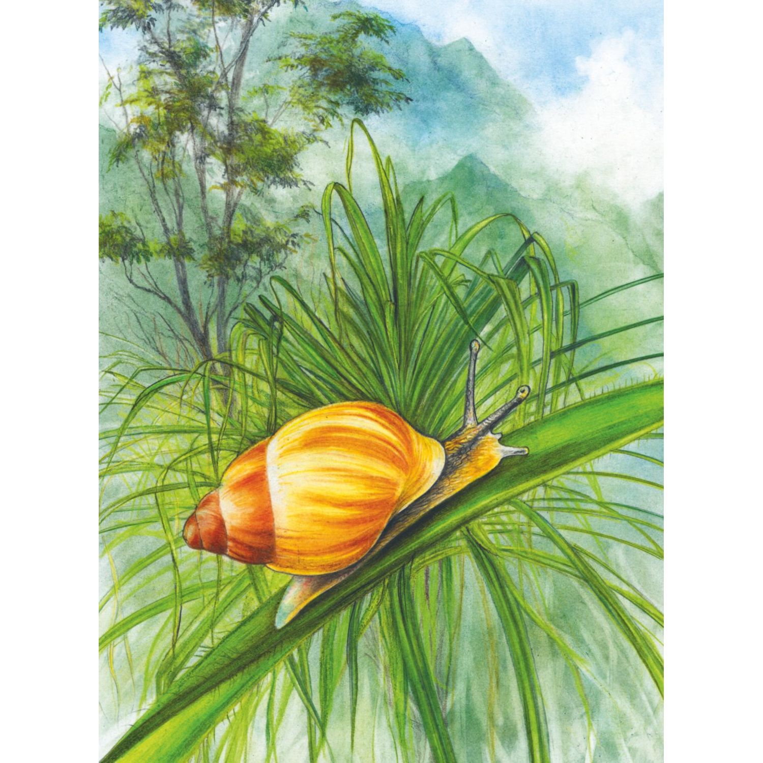Книга Эксмо Красная книга Животные на грани вымирания - фото 8